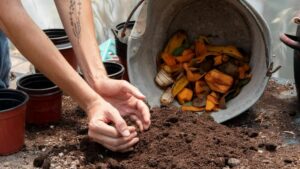 Stages of Composting: An In-Depth Exploration of the Composting Cycle