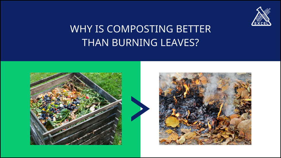 Why is Composting Better than Burning Leaves: A Comprehensive Analysis
